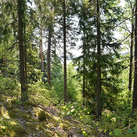 Maentykallio *