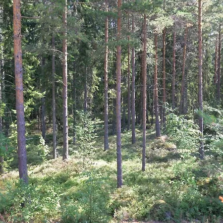 Maentykallio Villa *