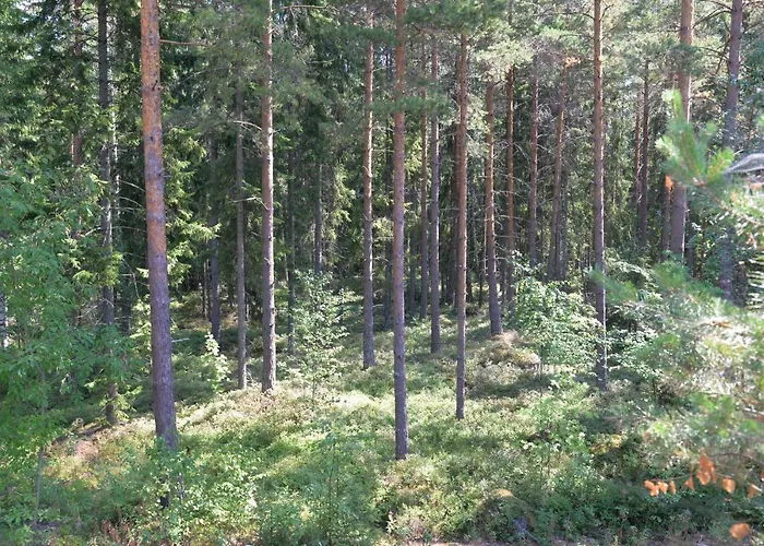 Maentykallio Вилла *