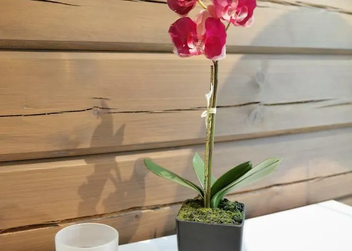 Вилла Maentykallio